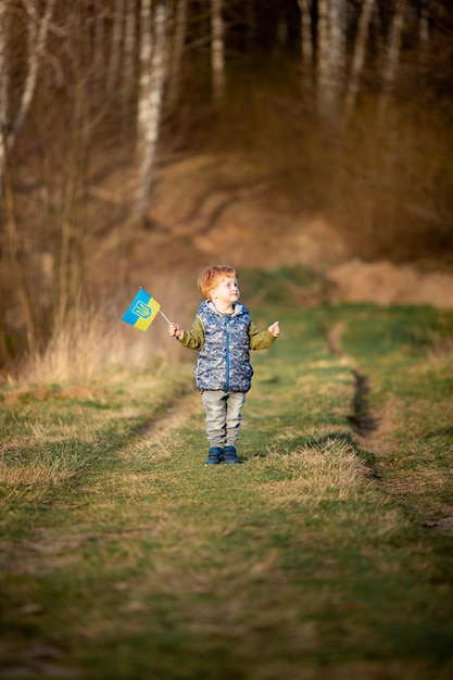 Little redhaired boy walks in nature with the flag of Ukraine at sunset