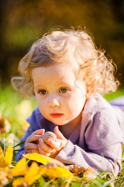 Little toddler boy in autumn 