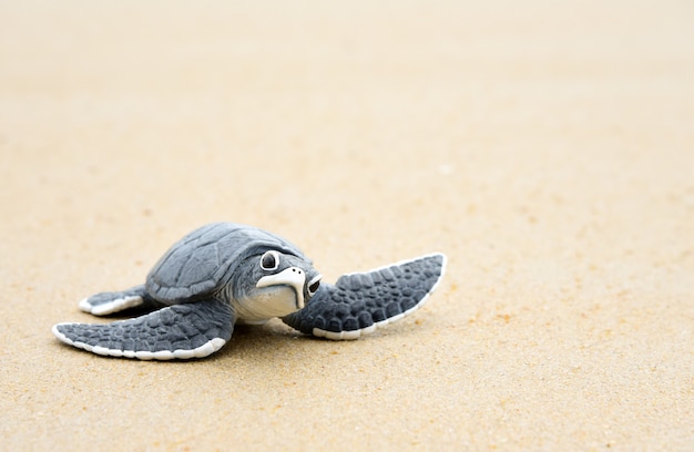 Little turtle on a white beach