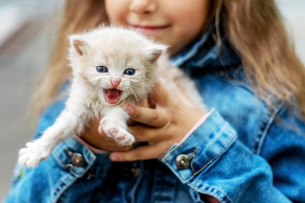 Little white kitten meows in the arms of a girl