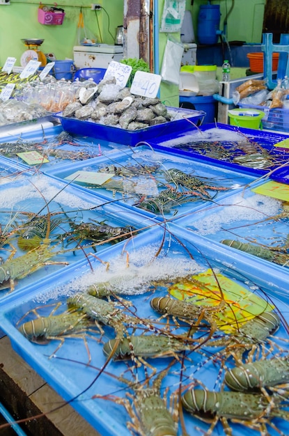 Live freshly caught lobster in the Gulf of Thailand at the seafood market