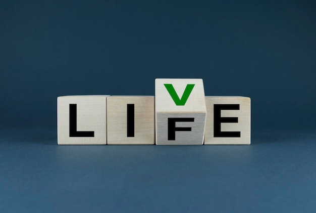 Live life Cubes form words Live Life