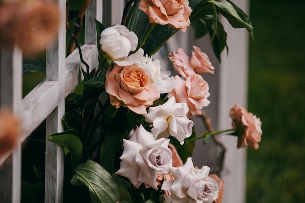 live red and white roses - decoration of a wooden wedding arch in the garden.