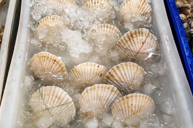 live white scallop clams, in a plastic box in ice water, are sold near a seafood restaurant, rewound with tape.