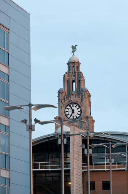 Liver Building tower