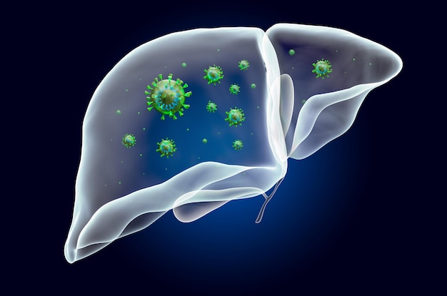 Liver and gallbladder with virus ghost light effect xray hologram 3D rendering