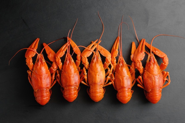 Lobsters on black background top view