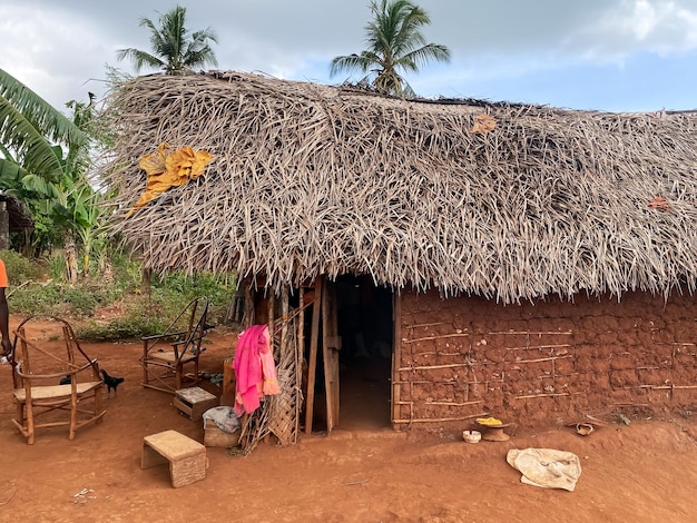 Local african village in summertime clay houses and thatched roofs banana trees travel and tourism