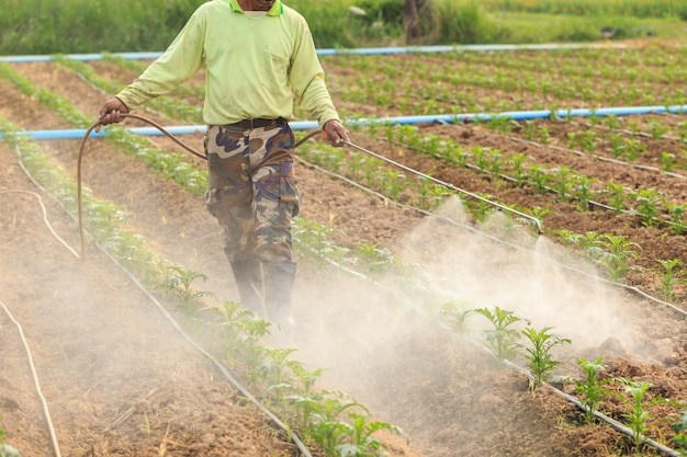 Local Thai farmer or gardener spraying chemical 