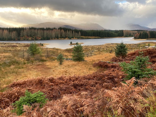 Loch Laggan Scottish Highlands