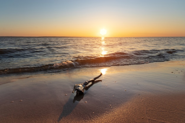 Log lying on the shore of an abandoned beach  troubled water dawn morning