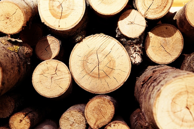 Log pile for burn