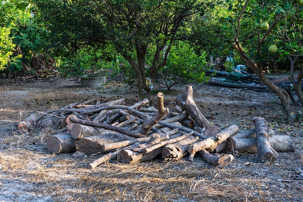 Log with a pile of chopped wood use in fire place at home stored on forest woods green biomass energy in the forest