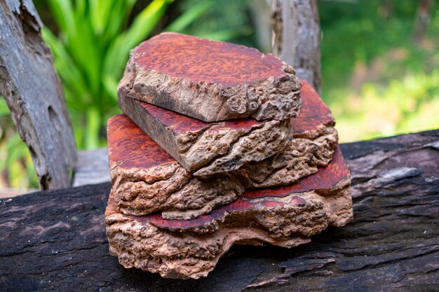 Logs Amboyna burl wood striped Exotic wooden beautiful pattern for crafts art or background