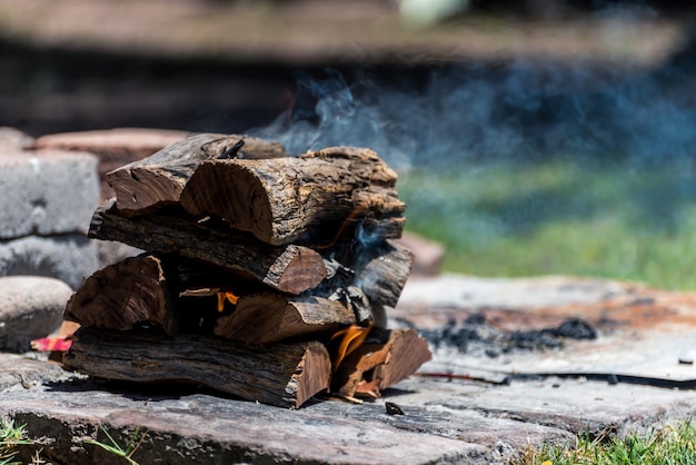 Logs on fire typical argentinean food grilled meat grilled meat