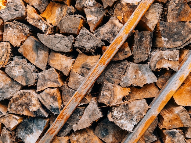 Logs of a tree the sawn wood