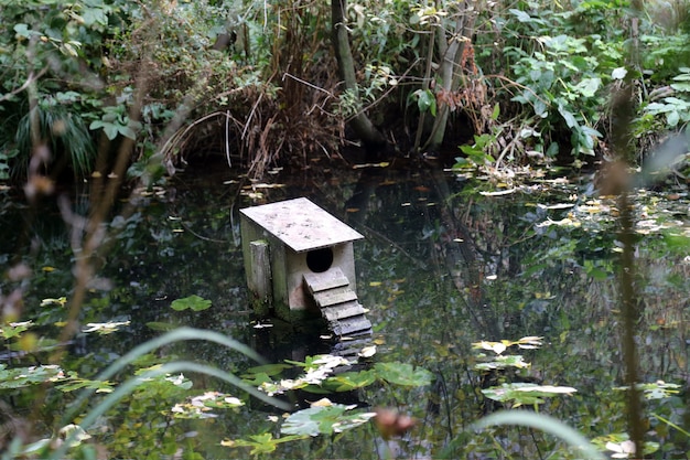 London park duck house