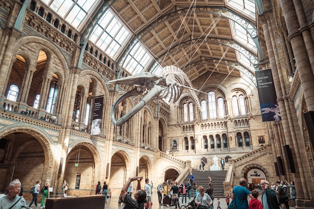 LONDON   SEP 4, 2019. People visit Natural History Museum in London.