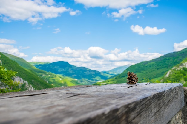 A lone pine cone lies on a log among the mountains