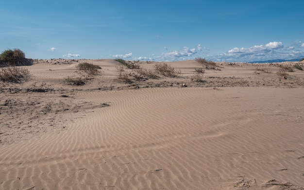 Lonely beach in the delta del ebro Spain The day is cloudy and windy Natural beach concept