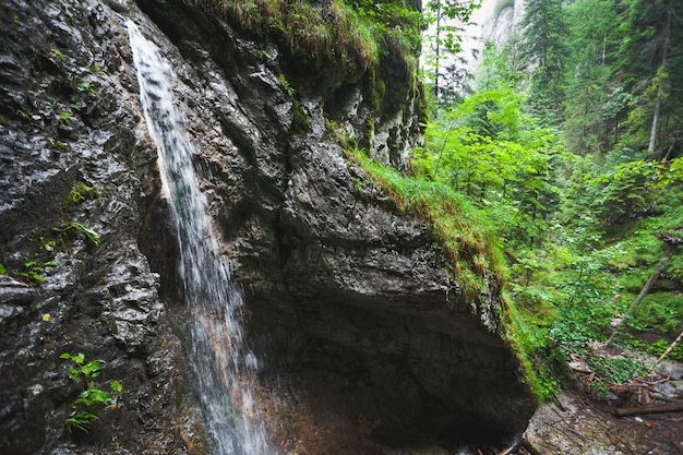 Lonely creek in the Tatra Mountains, Slovakia.