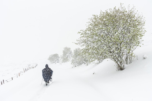 A lonely hiker protected by a cloak walks on a snowy trail The snow clings to the trees