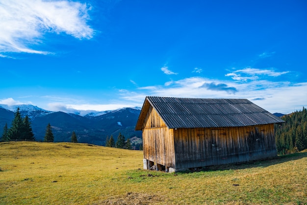 A lonely little gray house stands on a fresh wet green meadow amidst a dense gray fog