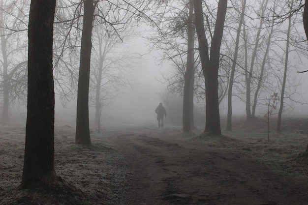 Lonely passerby in a foggy autumn park. The road to the unknown. Mystical landscape.