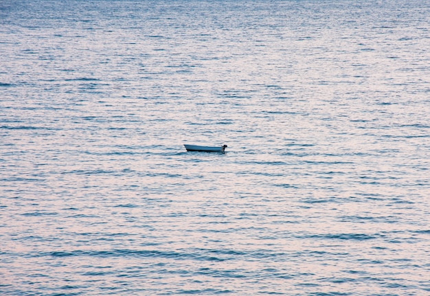 A lonely ship on the high seas Soothing background