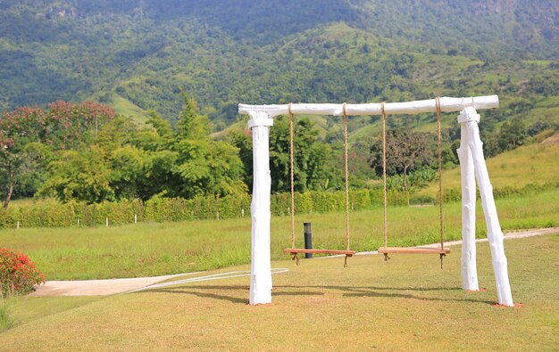 Lonely swing at summer garden.