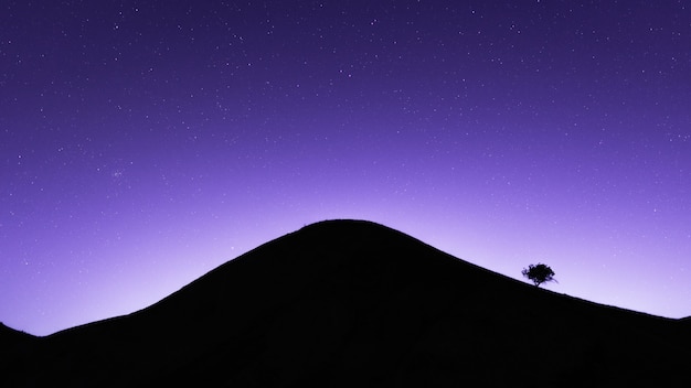 Lonely tree on the mountain in the night