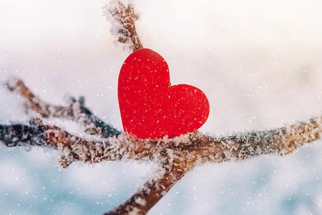 Lonely valentine Red heart on frosty icy branch in snowy forest Greeting card for Valentines Day Symbol of love and romantic relationships Congratulations on holiday of February 14