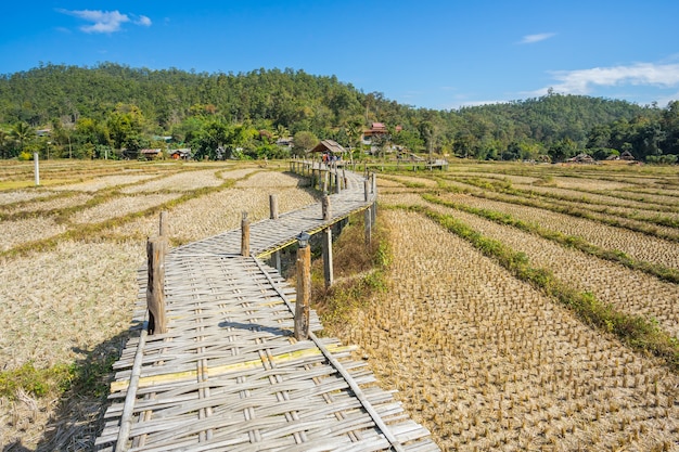 Long Bamboo Bridge in Pai, Thailand