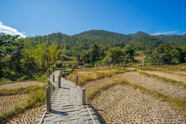 Long Bamboo Bridge in Pai, Thailand