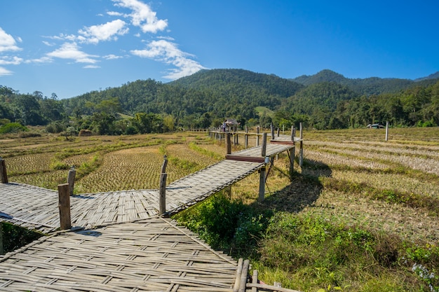 Long Bamboo Bridge in Pai, Thailand 