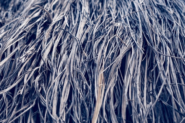 Long dry thin grass agriculture harvest pile of hay straw Texture detail Association brittle lifeless damage diseased hair Thatched background wallpaper Shades of gray brown more tone in stock