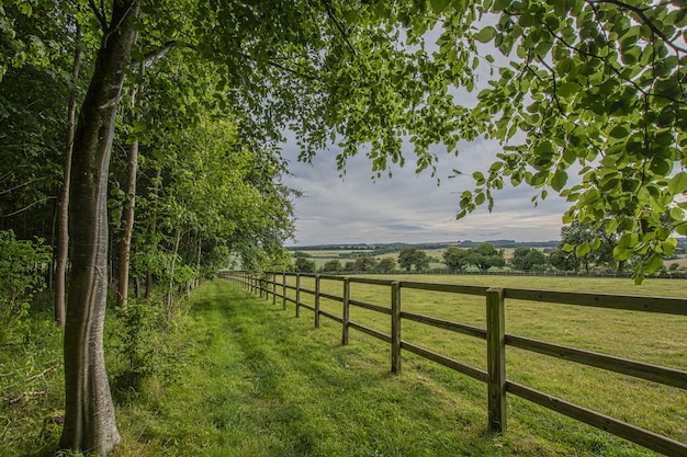 Long Fence in the Cotswolds