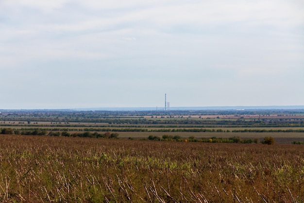 long fields on the horizon