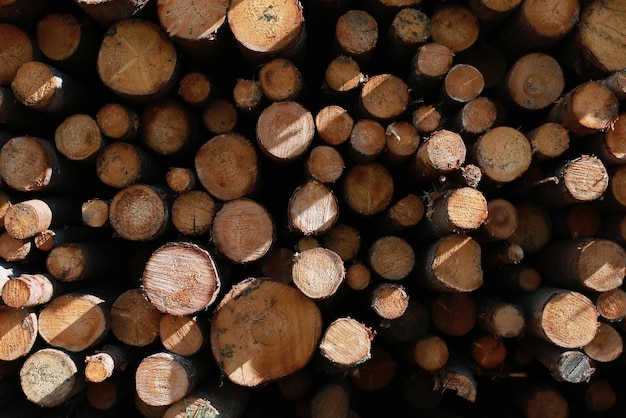 Long sawn logs lie on the pile on the site