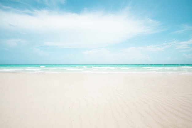 Long shot of tropical sandy beach