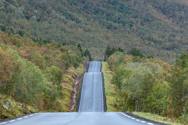 A long straight beautiful road in Lofoten, Norway. Concept of future, direction, journey, progress.