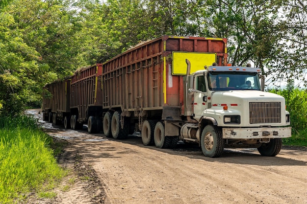 Long truck from several trailers