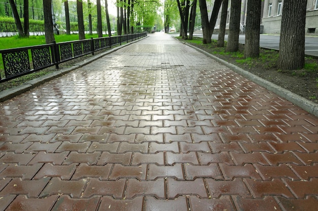 A long wet sidewalk after the rain.