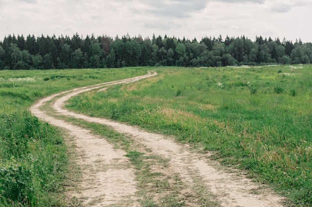 A long winding road through a green flowering field in the village a dusty road without asphalt