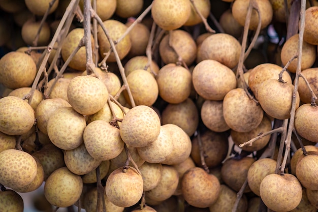 Longan, The Economy Fruit Of Lamphun, Thailand, Asian