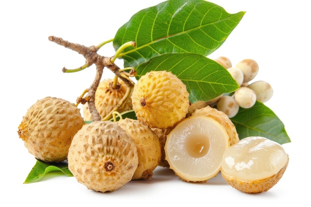 Longan Fruit Fresh Sweet Seed with Leaf Closeup Isolated on White Background