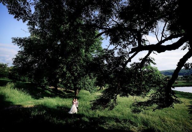 Look through the greenery at couple posing in the park