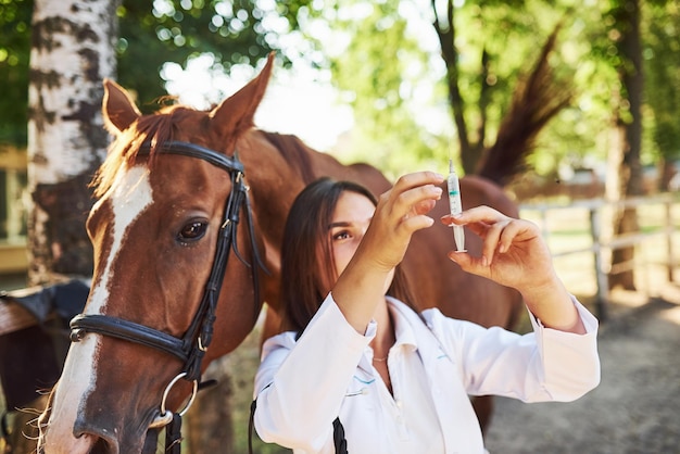 Looks at syringe. Female vet examining horse outdoors at the farm at daytime.