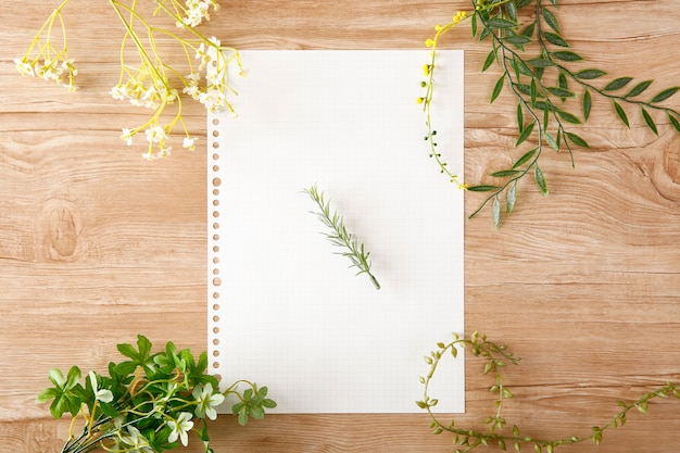 Loose-leaf paper placed on a wooden table and the green coloring it