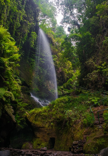 Los Tilos waterfall, San Andres y Sauces, La Palma , Canary islands, Spain